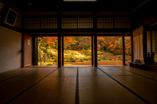清水寺本坊庭園の紅葉