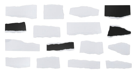Collection of torn paper scraps isolated on transparent background