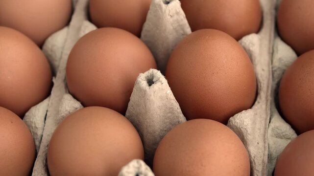 Close-up of brown eggs in cardboard carton with angled perspective highlighting shell texture and carton dividers in focus