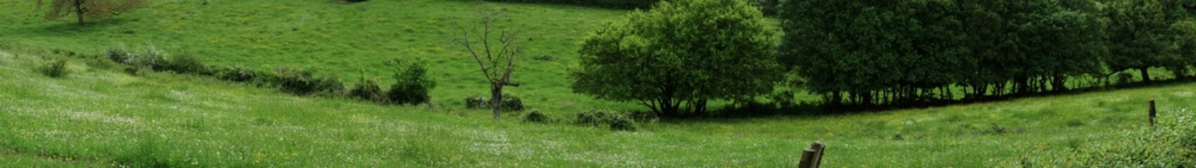 Countryside view - Bergeserrin - Sa&ocirc;ne-et-Loire - Bourgogne-Franche-Comt&eacute; - France