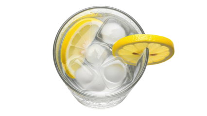 Gin Tonic with Lemon Slice