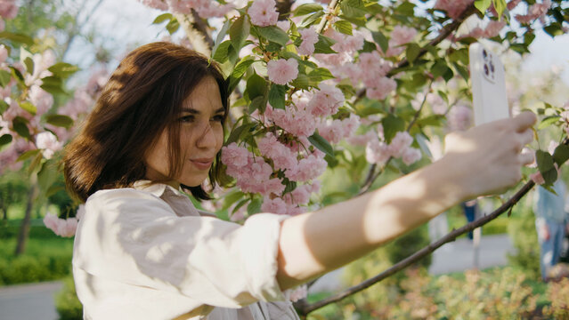 Young woman takes a selfie in a park surrounded by pink cherry blossoms during a sunny day in spring while people walk in the background - Powered by Adobe