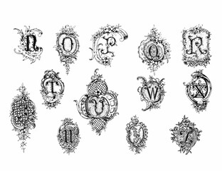 Decorative alphabet letter design with artistic and ornate typography and detailed linework.
