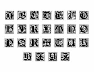 Decorative alphabet letter design with artistic and ornate typography and detailed linework.