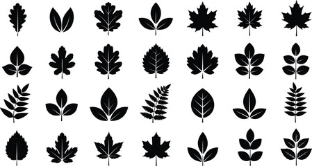 Leaf silhouette vector set, black tree foliage collection, autumn nature illustration, isolated plant icons, oak maple fern shapes, botanical graphic design elements, white background © MstParvin