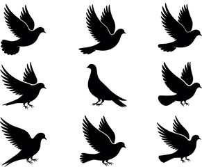 Obraz premium A solitary female photographer captures a majestic sunset over a serene alpine lake