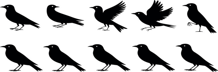 Fototapeta premium A solitary female photographer captures a majestic sunset over a serene alpine lake