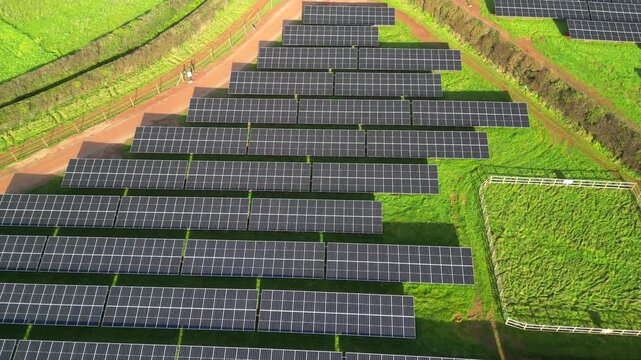 Coffinswell, South Devon, England: DRONE VIEWS: A solar panel farm surrounded by open countryside and farmland. Solar power is an integral part of the UK government's strategy for achieving net zero.
