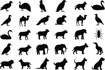 Fototapeta premium A large collection of black silhouettes featuring various animals and birds
