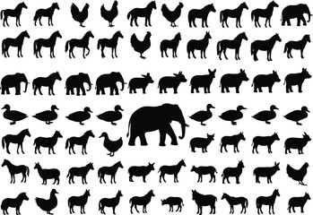 Black silhouettes of diverse animals, including farm animals, mammals, and birds on white background