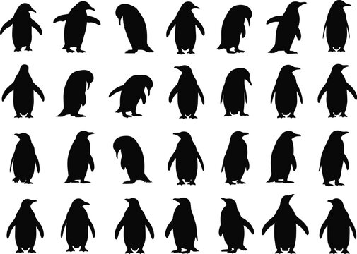 A collection of black and white penguin silhouettes in various poses