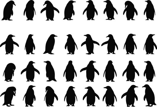 Collection of black penguin silhouettes showing various poses and movements