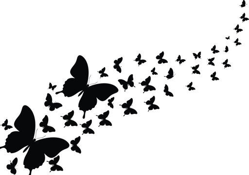 Black silhouettes of butterflies flying in an upward and curving path