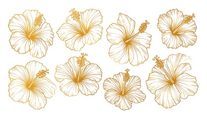 Eight stylized, elegant hibiscus blossoms with intricate gold outlines on a white background