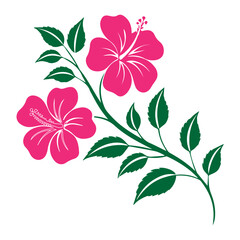 Pink Hibiscus Flowers Illustration