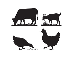 Farm animals silhouette, cow, goat, duck, chicken silhouette, cow grazing, duck pecking scattered grains, goat walking & chicken walking vector illustration collection set, farm animals silhouette,