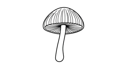 Fototapeta premium Line drawing of a mushroom with a slender stem supporting a rounded cap and visible gills rendered in clean black ink with simple shading for depth.