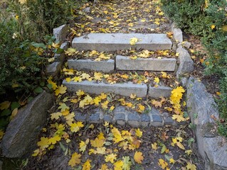 the steps in the park are strewn with yellow leaves