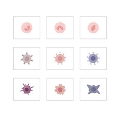 Cells of the innate and adaptive immune system, Hematopoiesis cell type scheme, stem cell, B and T lymphocytes, Basophil, neutrophil, eosinophil, monocyte, dendritic cell, macrophage and plasma cells.