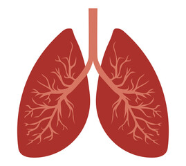 Vector Design of Human Lungs &ndash; Anatomical Structure Concept