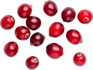 Group of fresh whole cranberries scattered on transparent background. Ideal for ingredient illustrations, healthy food concepts, and seasonal designs.