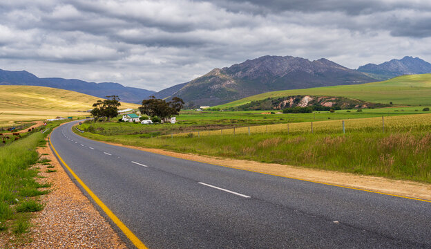 Scenic road from Hermanus to Cape Agulhas, Garden Route, South Africa, Africa 