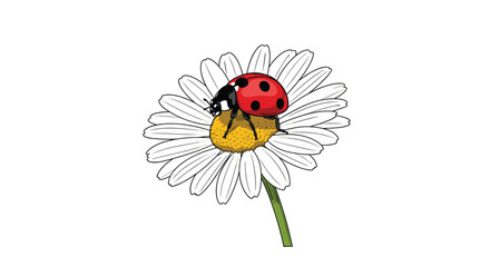 Obraz premium Bright red ladybug with black spots resting on a white daisy with a yellow center in a close up nature scene highlighting tiny insect life and delicate petals.