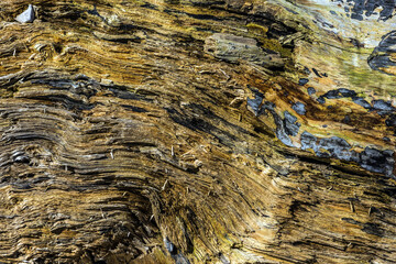 Silverdale, Lancashire, England.