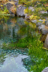 Fototapeta premium Am Mount fjui in Japan