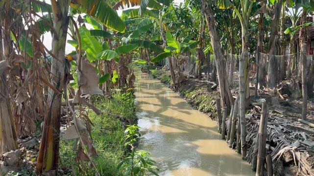 wooden bridge over the river