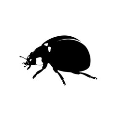 Black silhouette of a ladybug, a small beetle, viewed from the side, isolated on a white background.