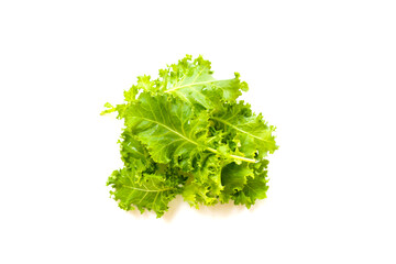 Obraz premium Fresh curly green kale leaves on white background.