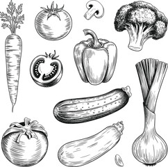 Vegetable illustration, hand-drawn sketch, black and white artwork, carrot, tomato, mushroom slice, broccoli, bell pepper, onion, zucchini, cucumber