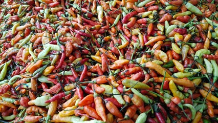 A dense, vibrant, overhead view of a massive mound of colorful bird's eye chilies for sale, showing...