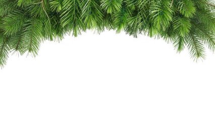 Fresh green pine branches forming a festive top border against a dark background