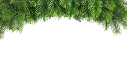 Fresh green pine branches forming a festive top border against a dark background
