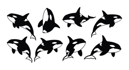 Silhouette depictions of orcas in various poses and groupings black and white