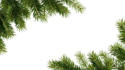 Green pine branches frame a black background for holiday design