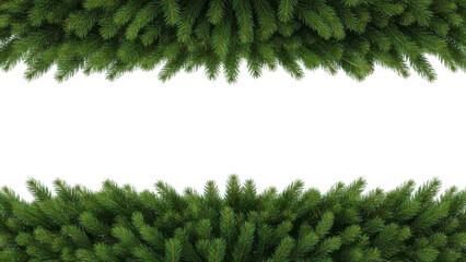 Green pine needles frame a dark center space