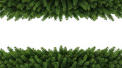 Green pine needles frame a dark center space