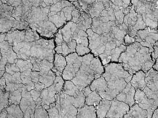 Monochrome black and white close-up of severely cracked, dry earth or drought soil texture, abstract background, environment stock photo image