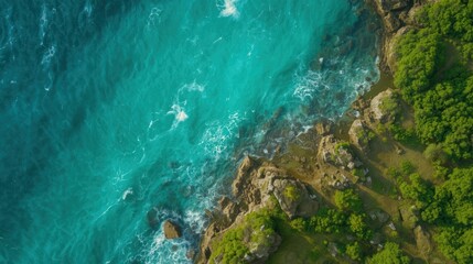 Aerial view of turquoise ocean meets lush shore