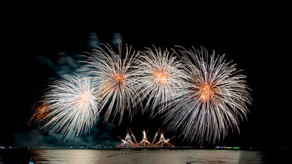 Amazing beautiful colorful firework display over sea on celebration night. Fireworks show for happy new year