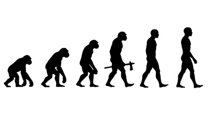 Obraz premium A detailed silhouette illustration depicting the stages of human evolution from ape-like ancestors to modern Homo sapiens, showcasing the progression of bipedalism and development.