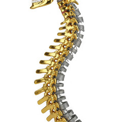 Stylized human spine intricate golden vertebrae spinal column medical science concept