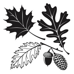 Black silhouette maple and oak leaves with acorn and pinecone © MST CHIN BANU BEGUM