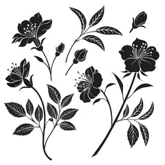 Black floral silhouettes with leaves and buds white