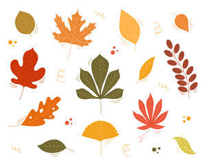 Obraz premium Autumn leaves hand drawn from different trees, oak, maple, chestnut. Collection of leaves in warm autumn colors for patterns and stickers. Vector illustration