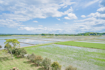 茨城　美浦村の田園風景（大須賀津農村公園から）