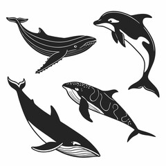 Black silhouette whales and dolphin set killer whale © MST CHIN BANU BEGUM